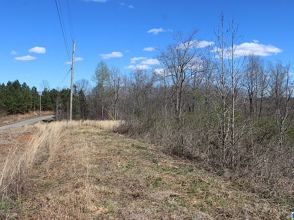 5th image of LOT 51 County Road 367 Lot 51