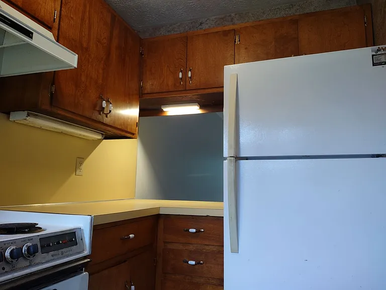 1433 Shipley Ferry Rd E — Photo 14
