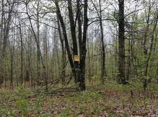 Kent Rd, Rothbury, MI 49452