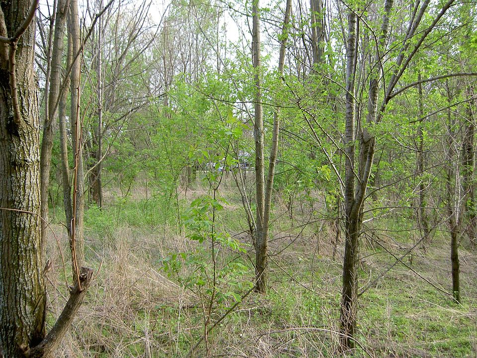 Wooded Lot 