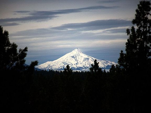 Looking out the Living Room