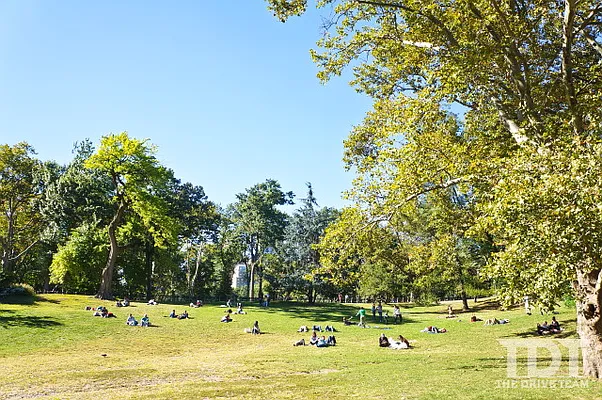 Rented by J Misrahi Realty Corp | media 42