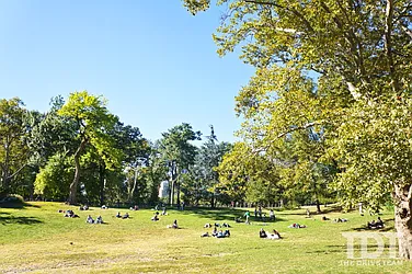 Rented by J Misrahi Realty Corp