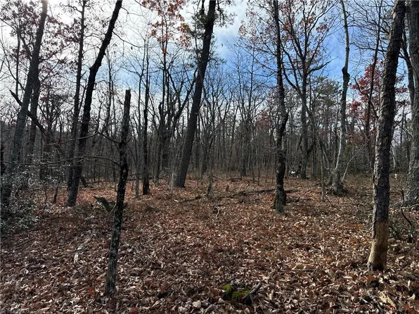 0 Mazies Ln, Pinnacle, NC 27043