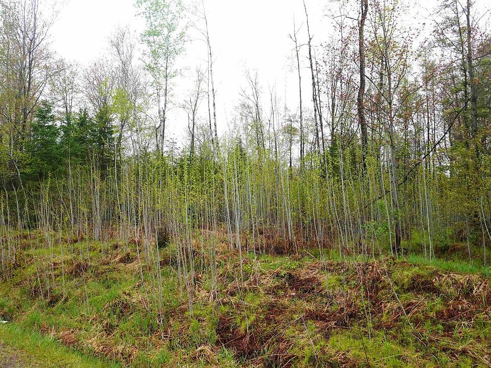 2nd image of 20 Acres N COUNTY ROAD X
