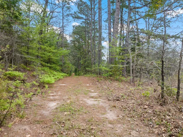 County Road 2920, Hughes Springs, TX 75656