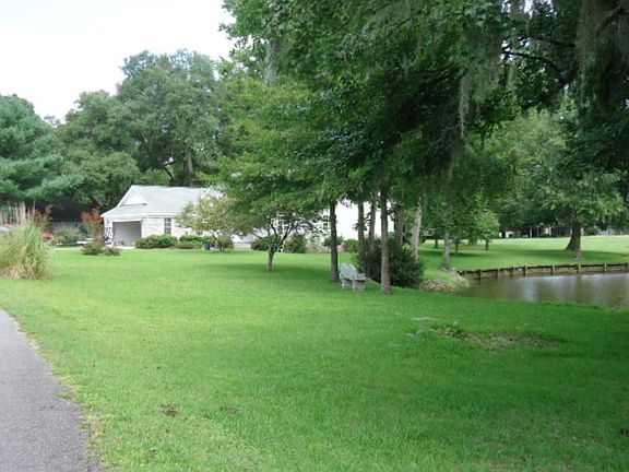 View of pond left side 