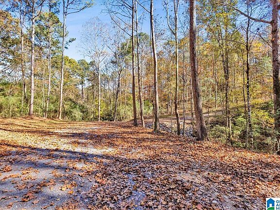 5th image of 0 Hammock Rd #0