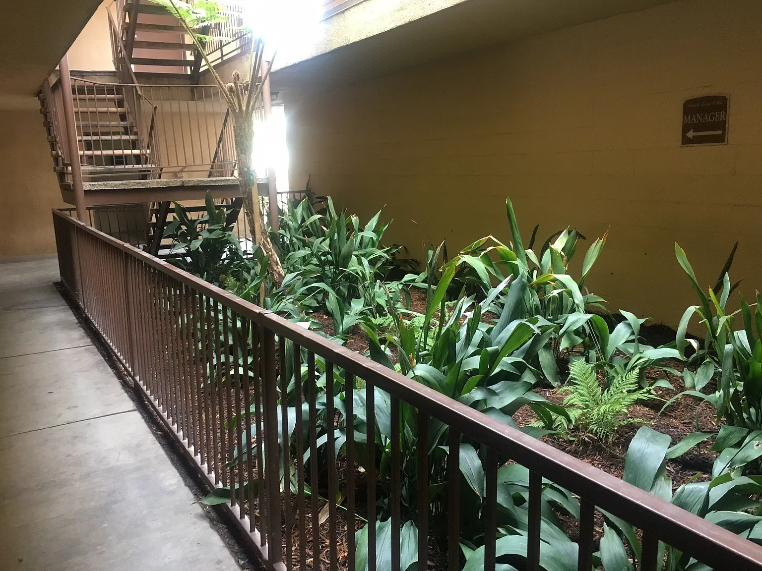 Studio in Santa Ana — Photo 3