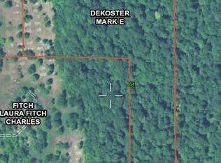 7230 S Scenic Dr, New Era, MI 49446