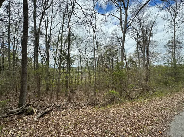 LOT 91 Butterfly Cove Trl, Decatur, TN 37322