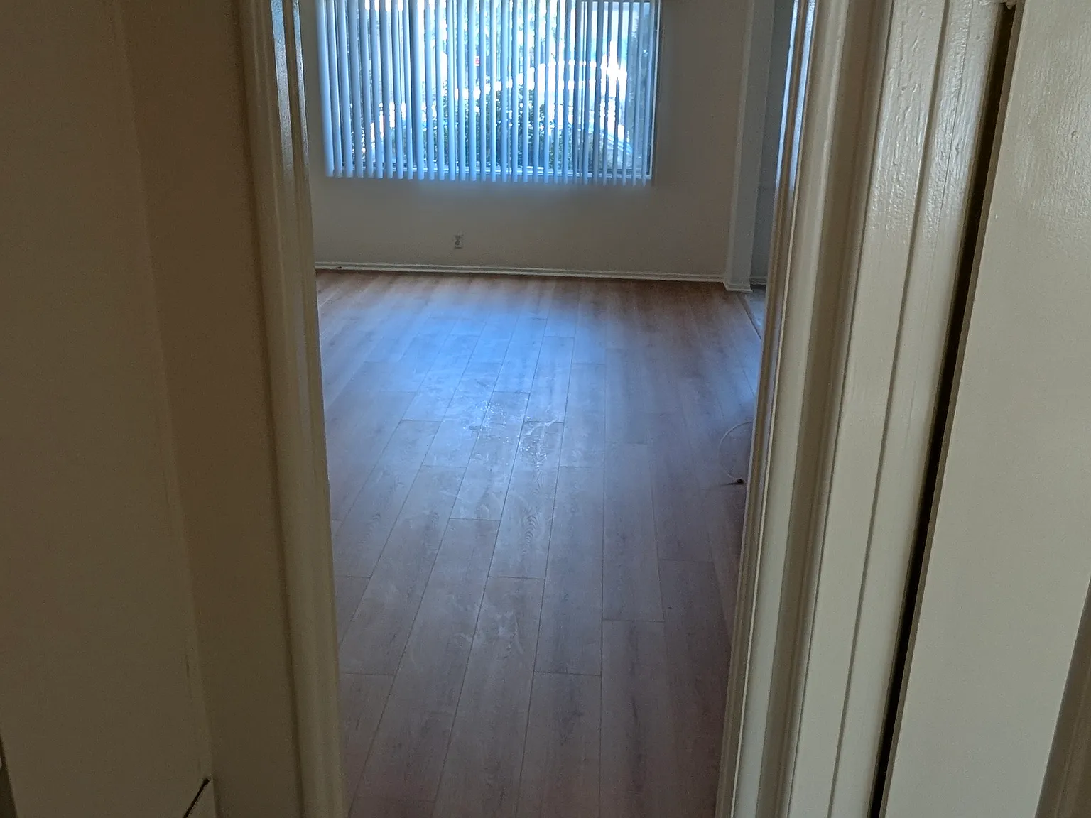 1 bed, 700 sqft, $1,900 — Photo 3