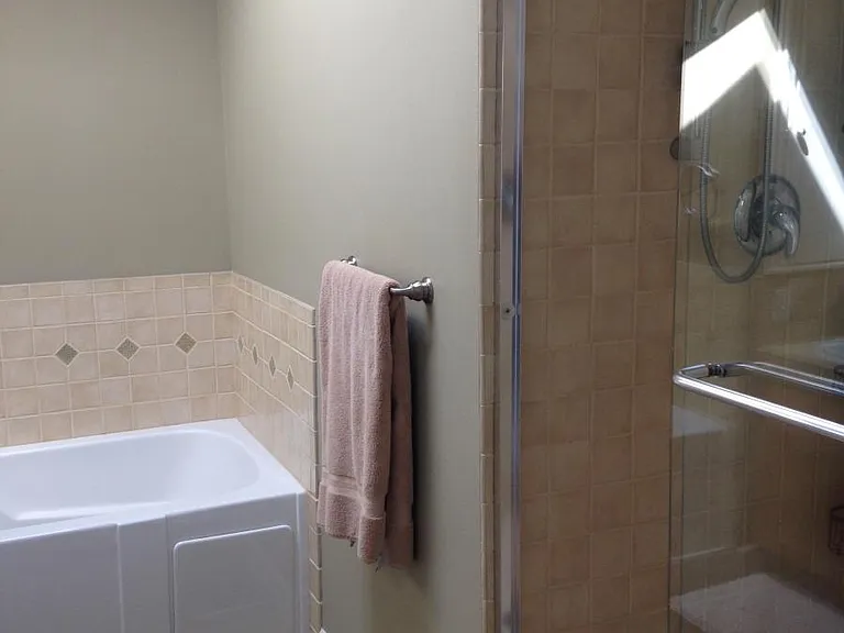 Master Bath double shower view with jetted tub