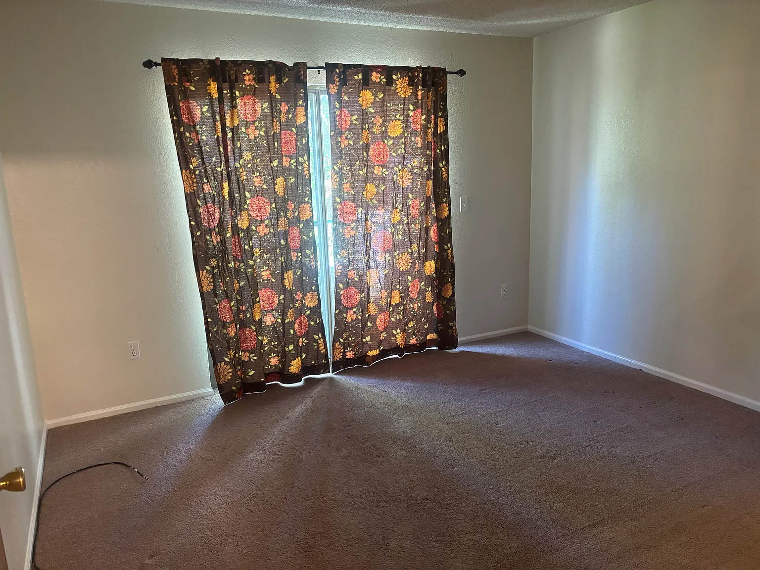 1 bed, 853 sqft, $1,290 — Photo 4