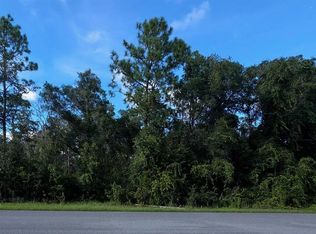13155 SADDLE WAY LOT 3, BROOKSVILLE, FL 34613