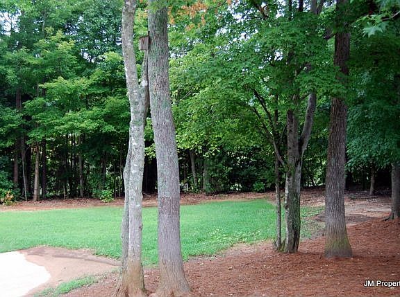 side yard