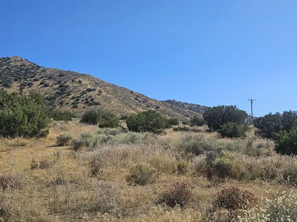 Soledad Pass Drt Vic Hi, Acton, CA 93510