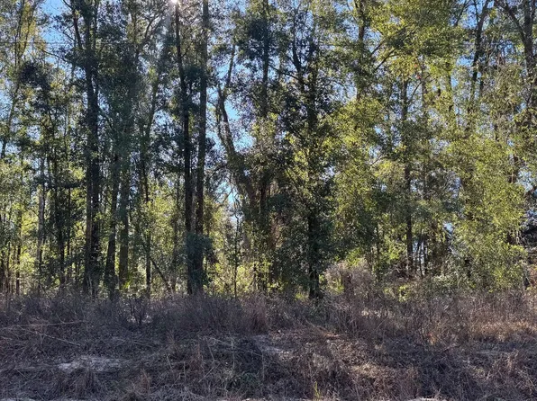 LOT 33 SW 76th Dr, Jasper, FL 32052