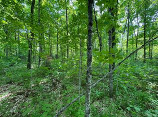 Mead Logging Rd, Crystal Falls, MI 49920