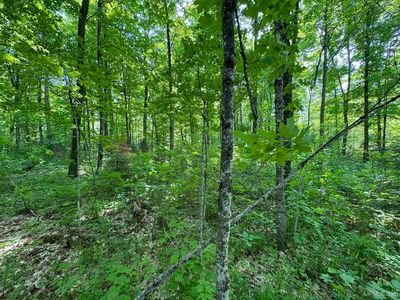 Mead Logging Rd, Crystal Falls, MI, 49920