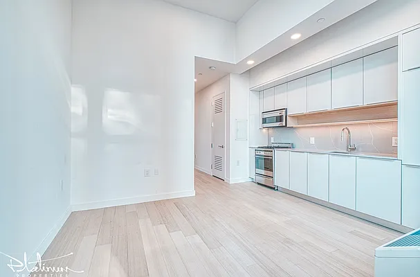 Rented by Platinum Properties | media 16