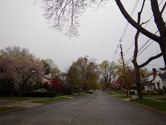 5th image of 505 Tilden Ave