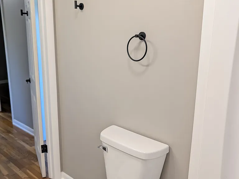 Brand new toilet