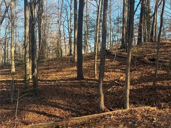 0 Slash Pine Cir Lot 1136, Ruther Glen, VA 22546