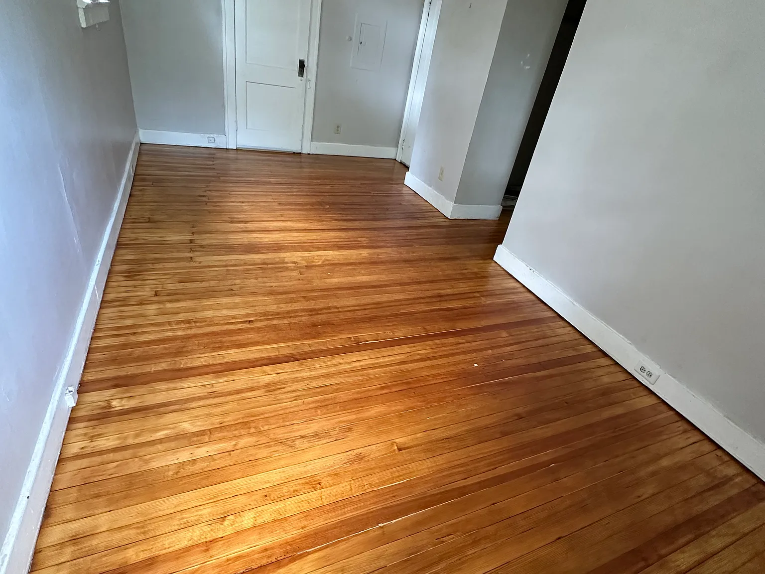 2 bed, 680 sqft, $1,350 — Photo 3