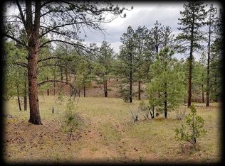 223-246 Cheyenne Rd, Westcliffe, CO 81252