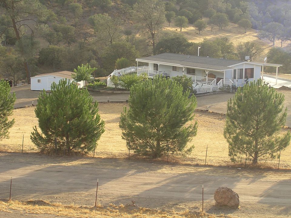 trees line front of property