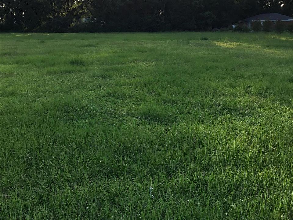 2nd image of 0 Juniper St