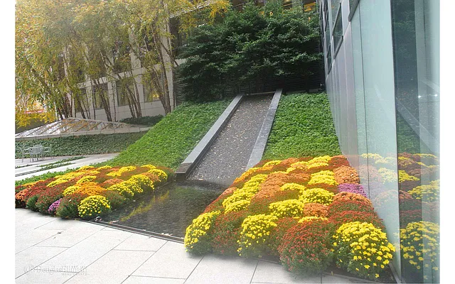 Rented by Douglas Elliman | media 22