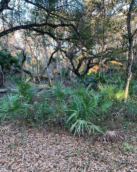 1st image of 49 FENNY BOSK TRAIL