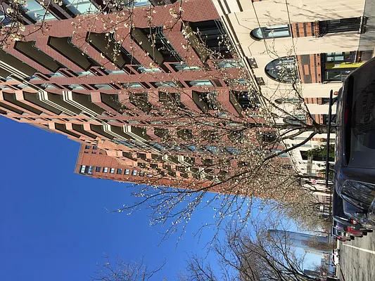 Rented by Owner | media 18