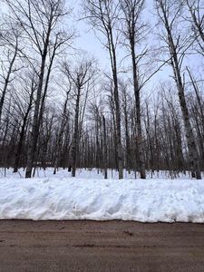 LOT 347 Grove St, Elmira, MI, 49730