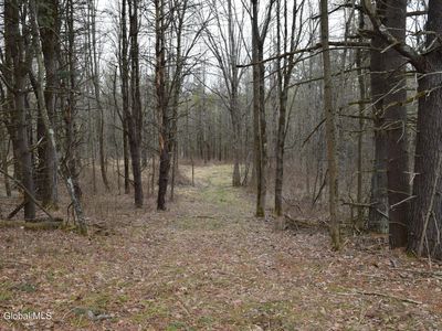 L4.11 Westfall Road, Delanson, NY, 12053