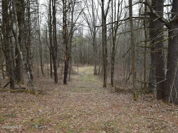 L4.11 Westfall Road, Delanson, NY 12053