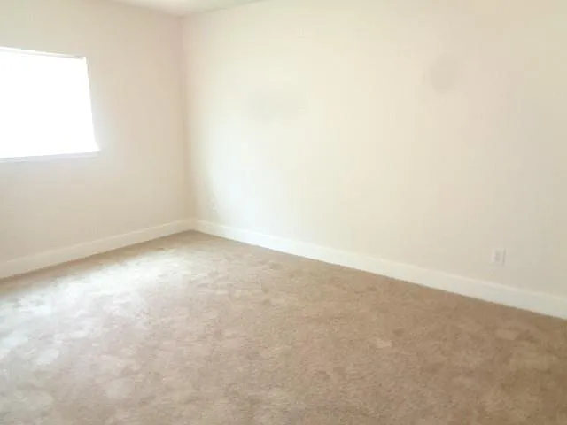 231 Silver Mist Cir — Photo 19