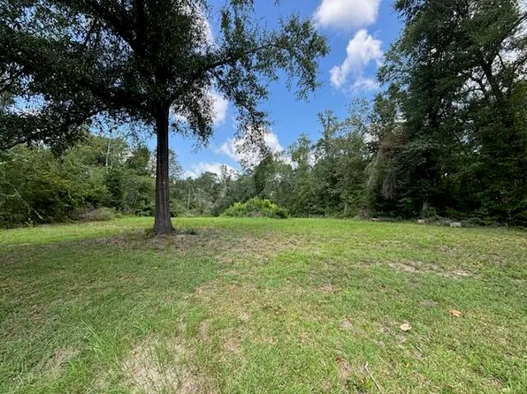 1042 Cadeli Road, Bartow, GA 30413