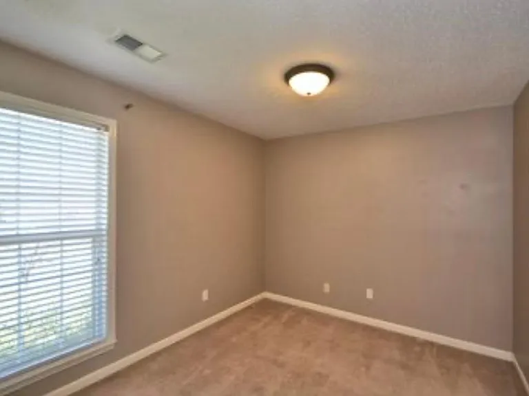 4001 Falliston Dr — Photo 38
