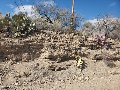 320 Circulo Chica #53, Rio Rico, AZ, 85648