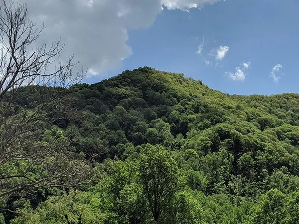 5395 Soco Rd, Maggie Valley, NC 28751