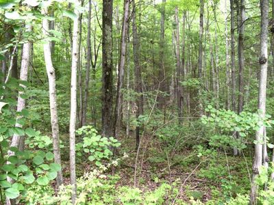 1 E Ridley Rd, Greenbush, MI, 48738