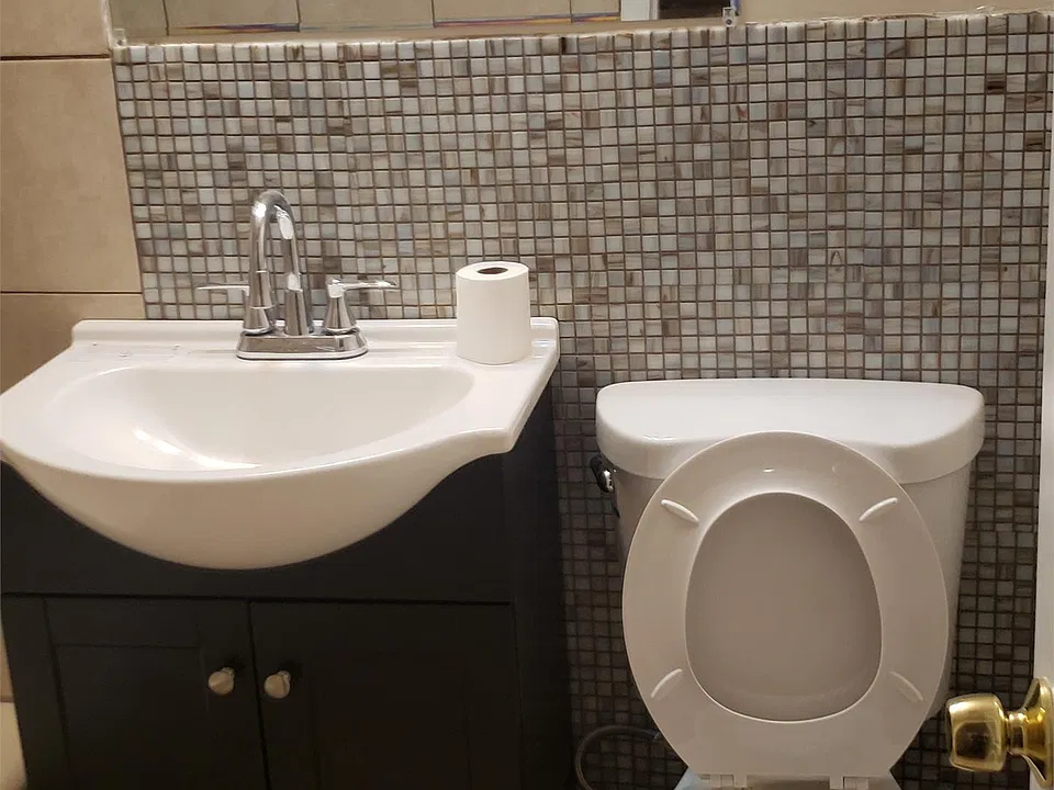 Hallway Bathroom