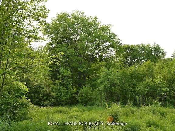 3rd image of 1527 Madill Rd