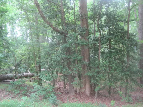 144 Chanute Cir #2435, Louisburg, NC 27549