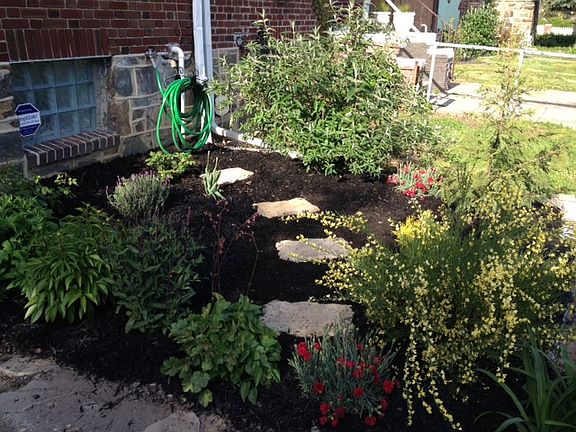 Front of house landscaping