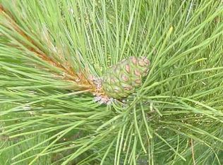 19 Partridge Ln, Bangor, ME 04401