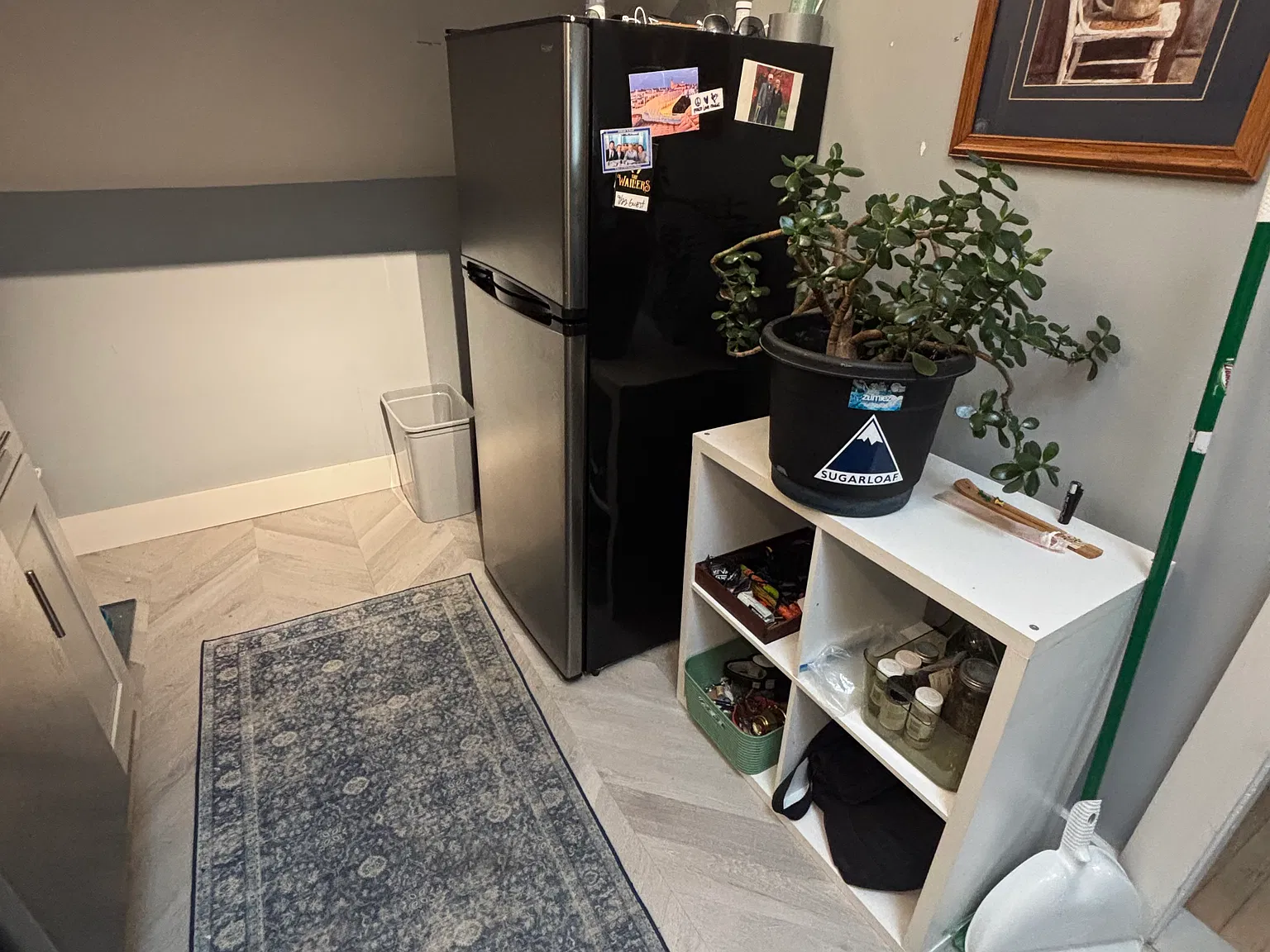 1 bed, 500 sqft, $2,300 — Photo 2